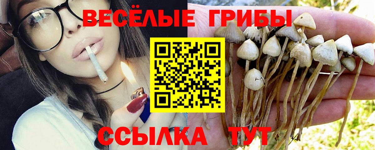 Заводоуковск  Галлюциногенные грибы Psilocybine cubensis  Вход с VPN  Галлюциногенные грибы Psilocybine cubensis 